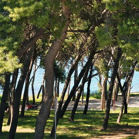 Apartman Barbara *