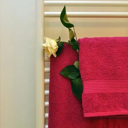 Barbara * Спліт